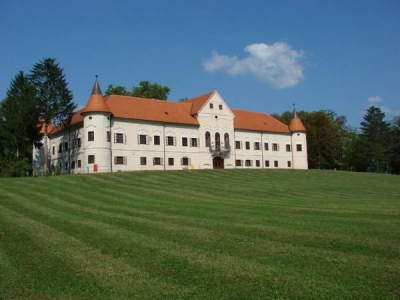 Glazba kao podr&scaron;ka učenju jezičnih vje&scaron;tina - ljetna &scaron;kola Odjela za psihologiju HKS-a