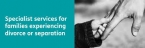 Understanding and Working with Children and Families affected by Parental Alienation - poziva na predavanje