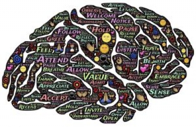 Compassion Focused Therapy (CFT) - u Splitu